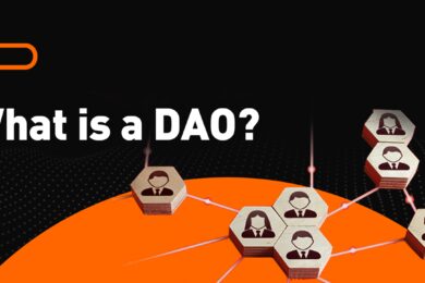 The DAO: Where Democracy Is The Only Leader